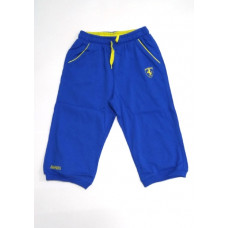 Шорты-бриджи Ferra синий с зеленым  Шорты-бриджи Ferra синий с зеленым