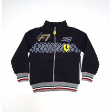 Толстовка для мальчика утепленная начес на замке Ferra серый