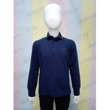 Рубашка-поло длинный рукав 0193,194 Cegisa синий