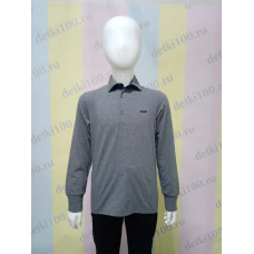 Рубашка-поло длинный рукав 0195,194,193 Cegisa серый