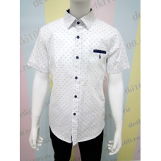 Рубашка короткий рукав точки Polo белый Рубашка короткий рукав точки Polo белый